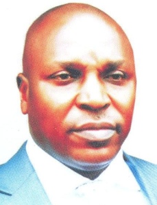 Charles Emetulu, Commissioner for Energy