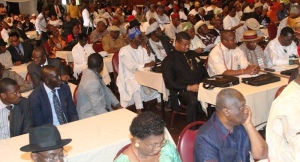 Cross-section of delegates and participants