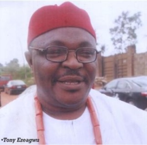 Chief Tony Ezeagwu, Labour Party Chairman, Delta state